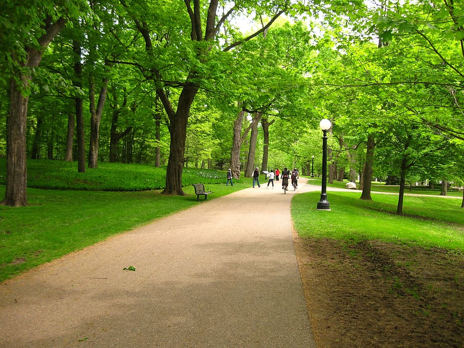 A photograph of a path in a wooded park, with people riding bicycles.
